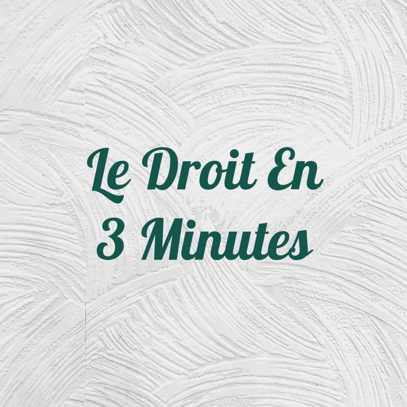 Le-droit-en-3-minutes-series-documentaire-actualite-s-politiques-447388