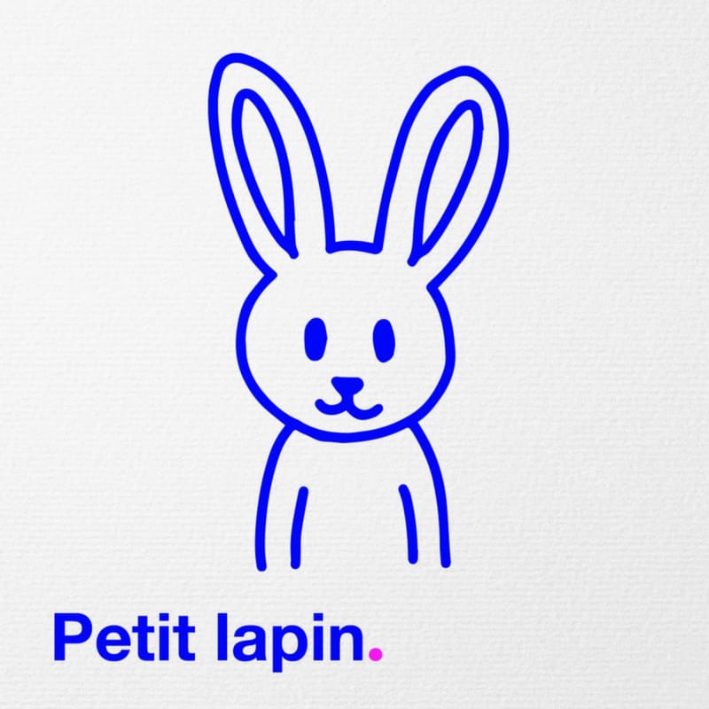 Petit-lapin-series-fiction-bedtime-stories-engle