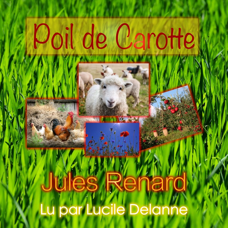 Poil-de-carotte-jules-renard-livre-audio-fiction-litte-rature-audiolude