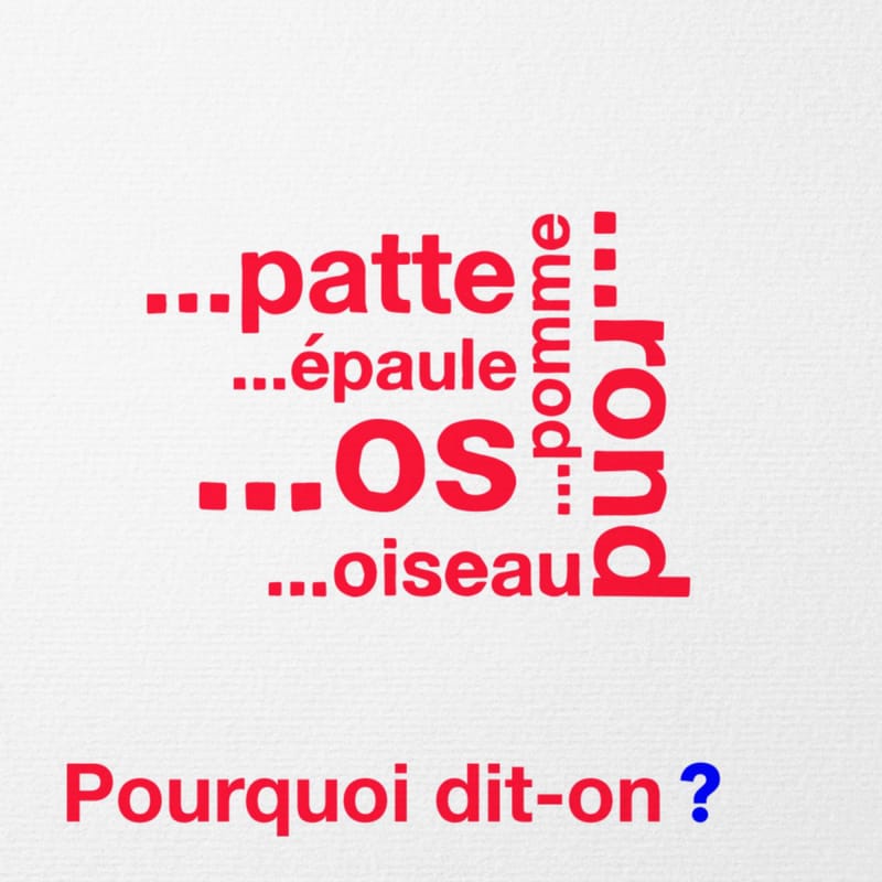 Pourquoi-diton-series-documentaire-learning-for-ages-6-to-9-engle