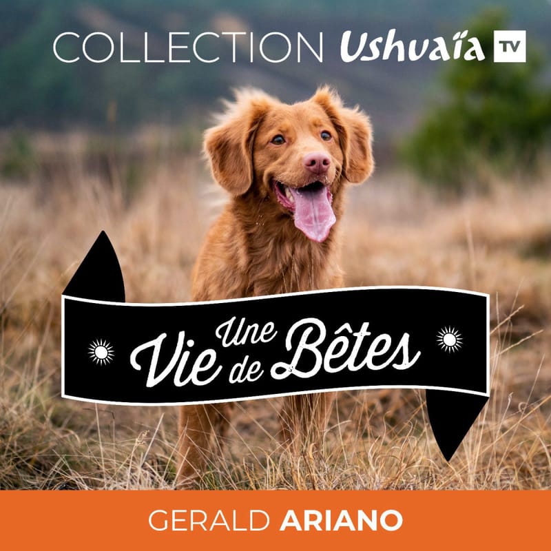Une-vie-de-betes-serie-audio-documentaire-voyage-ushuai-a-tv